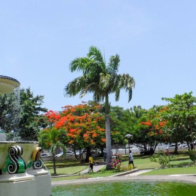 Basse-Terre (Guadeloupes)