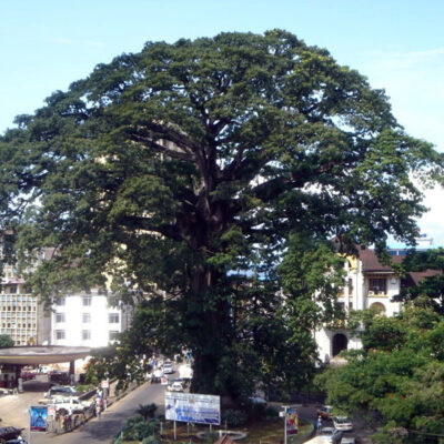 Freetown (Sierra Leone)